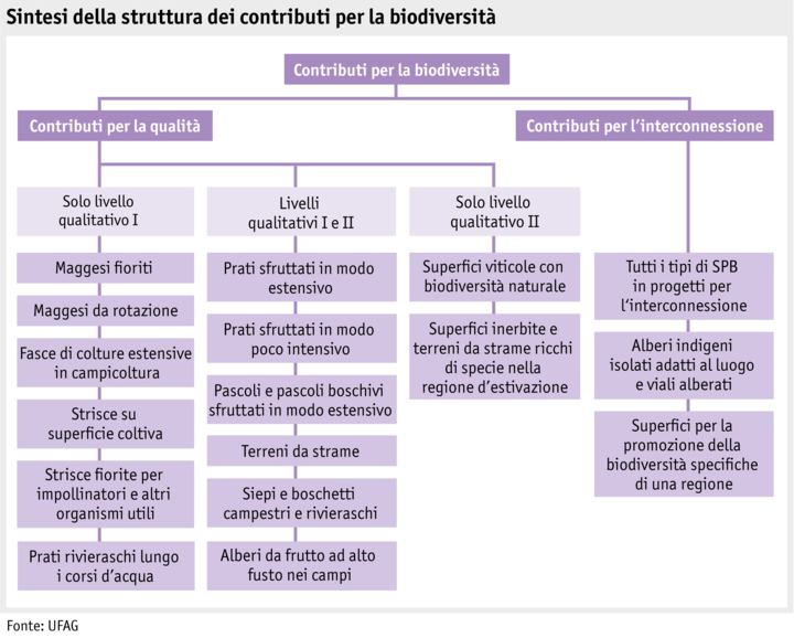 Zoom: ab20_politik_direktzahlungen_grafik_biodiversitaetsbeitraege_i.png