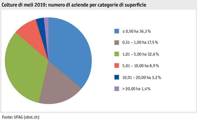 Zoom: ab20_produktion_pflanzli_produktion_grafik_apfelanlagen_betriebe_flaechenkat_2019_i.png