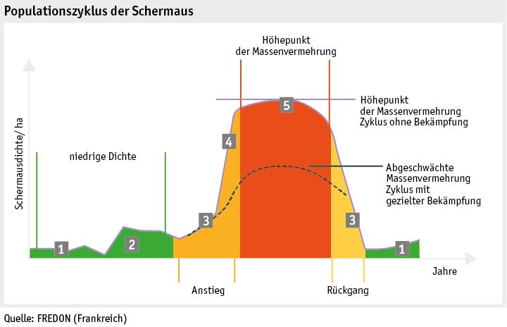 Zoom: ab20_grafik_politik_beratung_schermaus_d.png