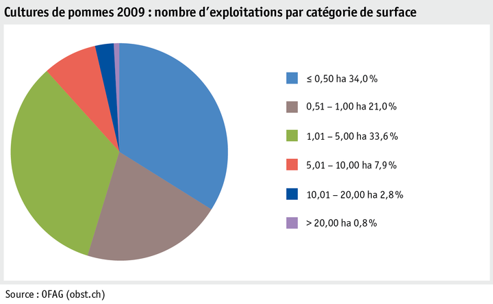 Zoom: ab20_produktion_pflanzli_produktion_grafik_apfelanlagen_betriebe_flaechenkat_2009_f.png