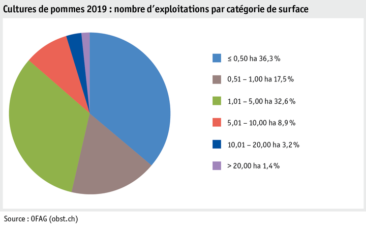 Zoom: ab20_produktion_pflanzli_produktion_grafik_apfelanlagen_betriebe_flaechenkat_2019_f.png