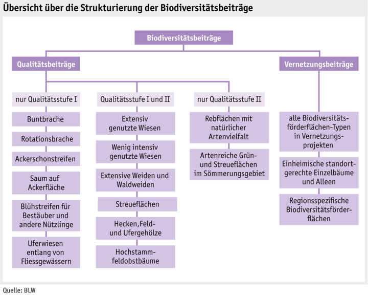 Zoom: ab19_politik_direktzahlungen_grafik_biodiversitaetsbeitraege_d.png