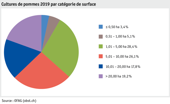 Zoom: ab20_produktion_pflanzli_produktion_grafik_obstanlagen_flaeche_flaechenkat_2019_f.png