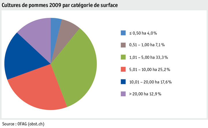 Zoom: ab20_produktion_pflanzli_produktion_grafik_obstanlagen_flaeche_flaechenkat_2009_f.png