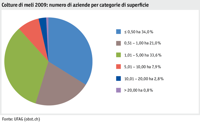 Zoom: ab20_produktion_pflanzli_produktion_grafik_apfelanlagen_betriebe_flaechenkat_2009_i.png